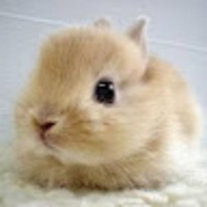 Meet your Posher, Claire